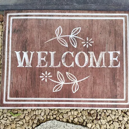 Les Moineaux Du Lileau *