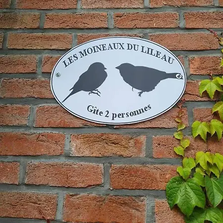 Les Moineaux Du Lileau Marchin