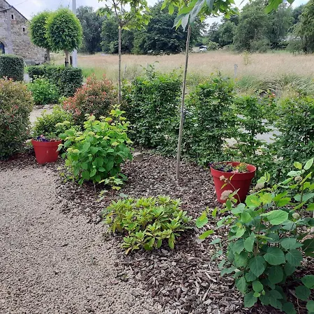 Les Moineaux Du Lileau Hébergement de vacances *