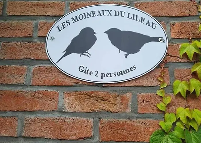 Les Moineaux Du Lileau Marchin